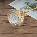 Rosa Beautiful Valentine - Compre 1 Leve 5 - PROMOÇÃO LIMITADA!